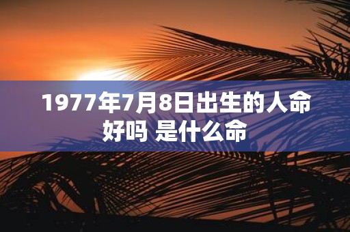 1977年7月8日出生的人命好吗 是什么命
