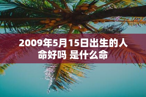 2009年5月15日出生的人命好吗 是什么命