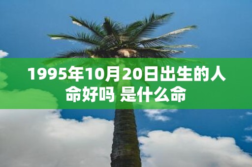1995年10月20日出生的人命好吗 是什么命