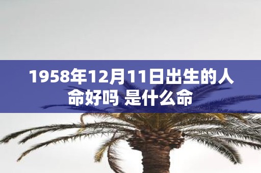 1958年12月11日出生的人命好吗 是什么命