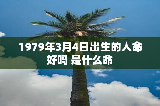 1979年3月4日出生的人命好吗 是什么命