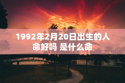 1992年2月20日出生的人命好吗 是什么命
