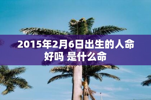 2015年2月6日出生的人命好吗 是什么命