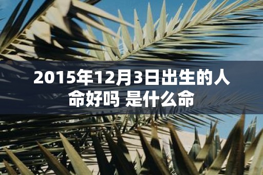 2015年12月3日出生的人命好吗 是什么命