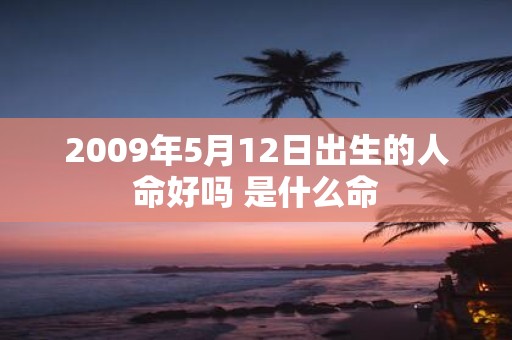 2009年5月12日出生的人命好吗 是什么命