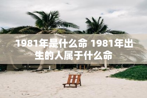 1981年是什么命 1981年出生的人属于什么命