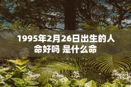 1995年2月26日出生的人命好吗 是什么命