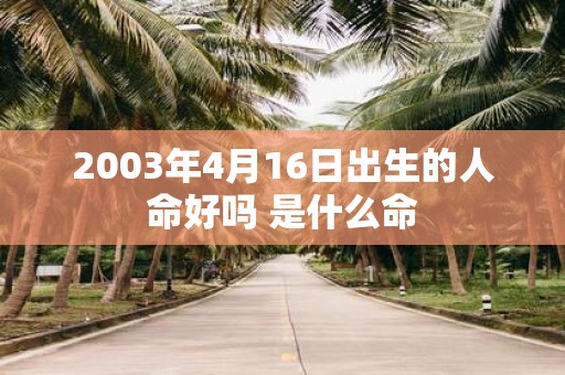 2003年4月16日出生的人命好吗 是什么命