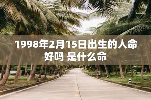 1998年2月15日出生的人命好吗 是什么命