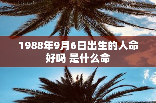 1988年9月6日出生的人命好吗 是什么命