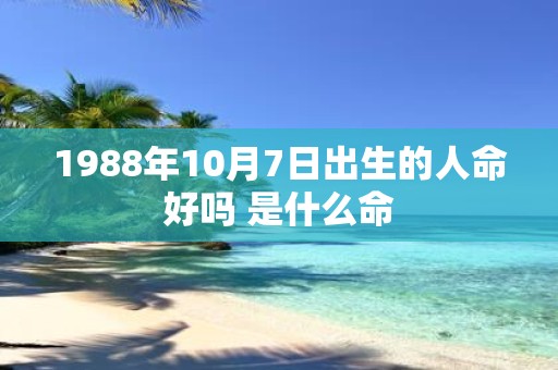 1988年10月7日出生的人命好吗 是什么命