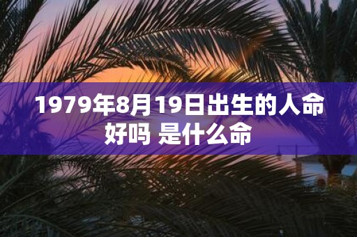 1979年8月19日出生的人命好吗 是什么命