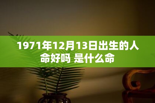 1971年12月13日出生的人命好吗 是什么命