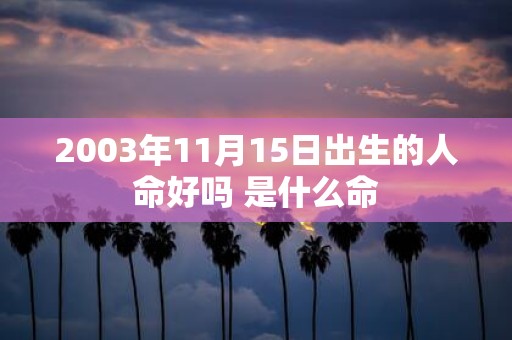 2003年11月15日出生的人命好吗 是什么命