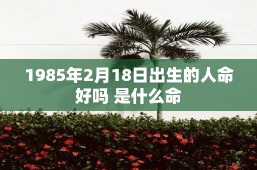 1985年2月18日出生的人命好吗 是什么命