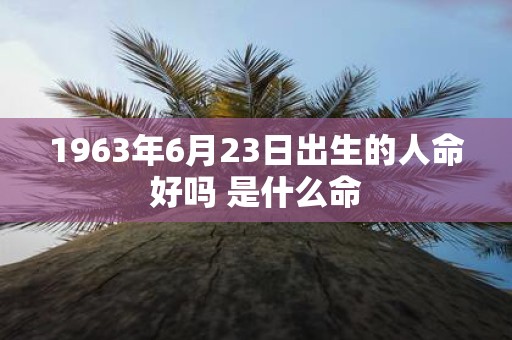 1963年6月23日出生的人命好吗 是什么命
