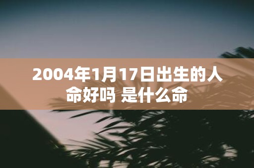 2004年1月17日出生的人命好吗 是什么命