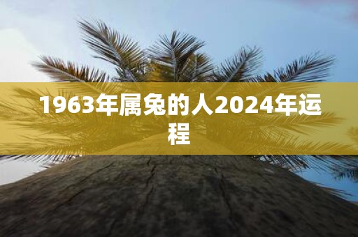 1963年属兔的人2025年运程