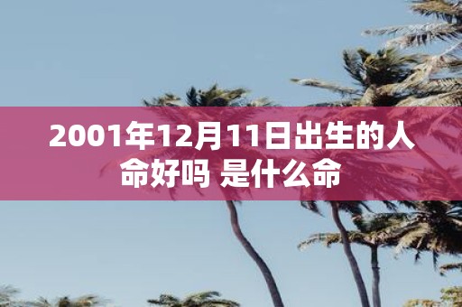 2001年12月11日出生的人命好吗 是什么命