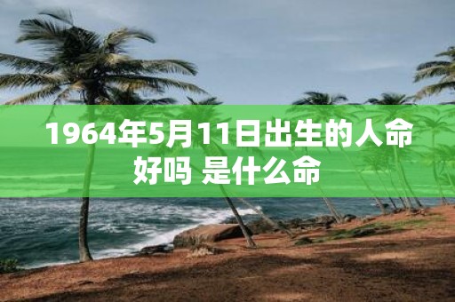 1964年5月11日出生的人命好吗 是什么命