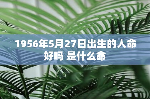 1956年5月27日出生的人命好吗 是什么命