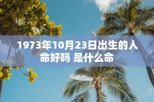 1973年10月23日出生的人命好吗 是什么命