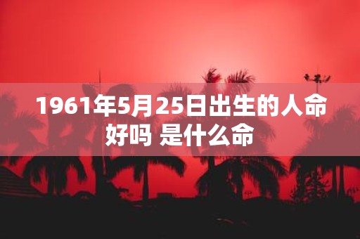 1961年5月25日出生的人命好吗 是什么命