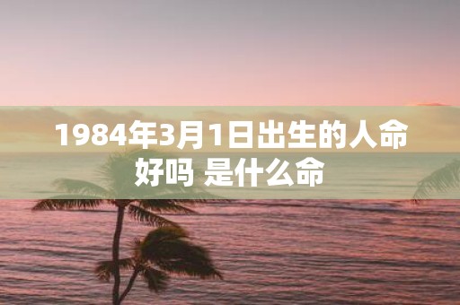 1984年3月1日出生的人命好吗 是什么命