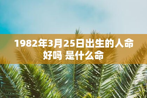 1982年3月25日出生的人命好吗 是什么命