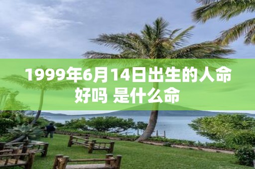 1999年6月14日出生的人命好吗 是什么命