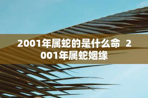 2001年属蛇的是什么命 2001年属蛇姻缘