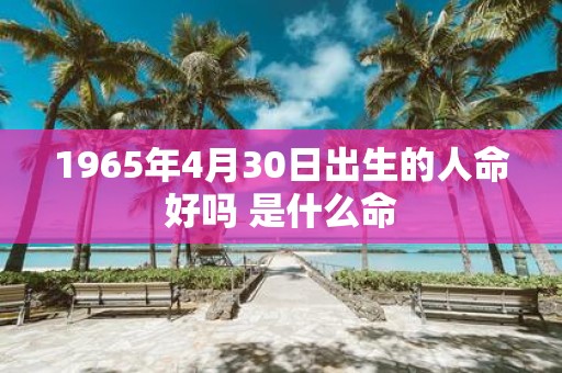 1965年4月30日出生的人命好吗 是什么命
