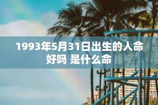1993年5月31日出生的人命好吗 是什么命