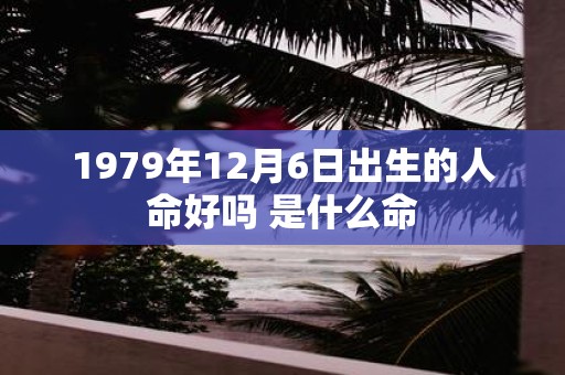 1979年12月6日出生的人命好吗 是什么命