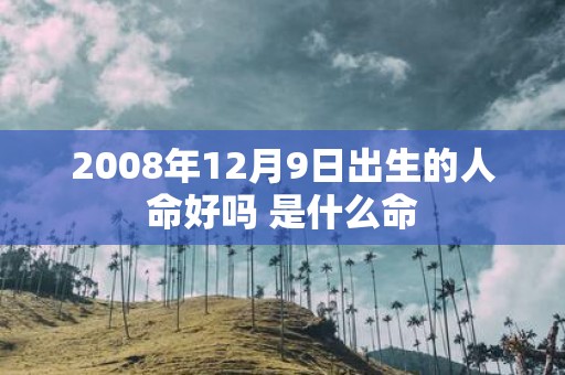 2008年12月9日出生的人命好吗 是什么命