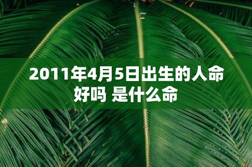 2011年4月5日出生的人命好吗 是什么命