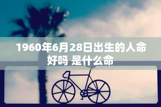 1960年6月28日出生的人命好吗 是什么命