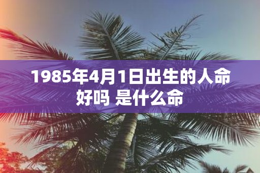 1985年4月1日出生的人命好吗 是什么命