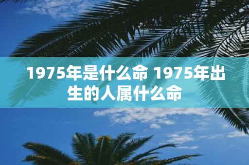 1975年是什么命 1975年出生的人属什么命