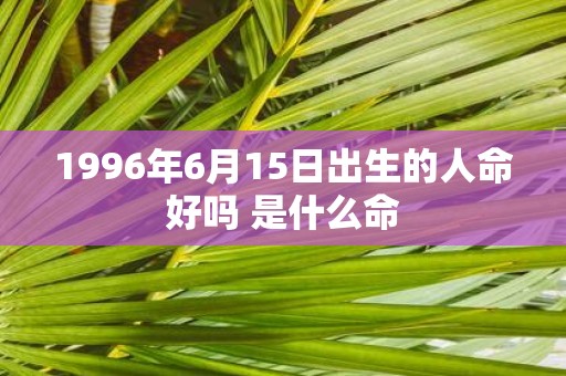 1996年6月15日出生的人命好吗 是什么命