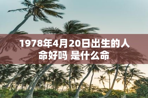 1978年4月20日出生的人命好吗 是什么命