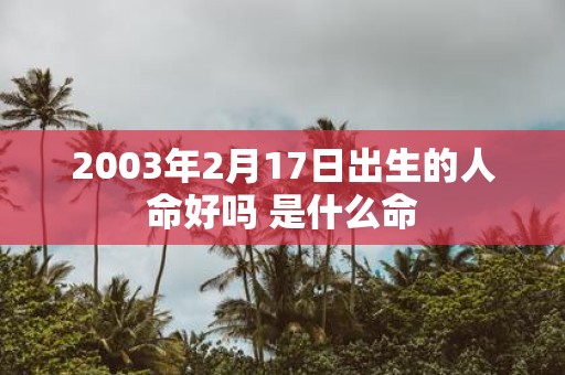2003年2月17日出生的人命好吗 是什么命 2003年2月17日出生的人命好吗 是什么命