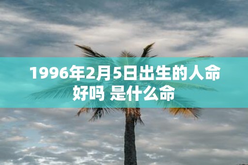 1996年2月5日出生的人命好吗 是什么命