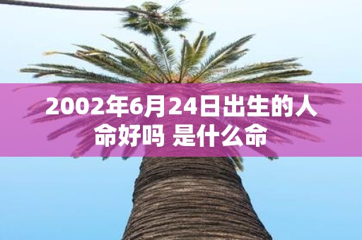2002年6月24日出生的人命好吗 是什么命