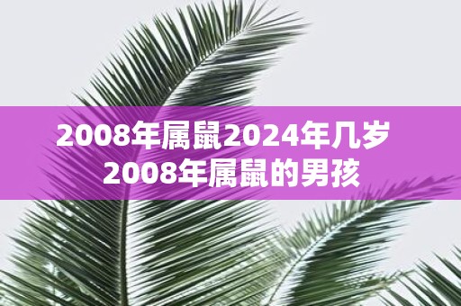 2008年属鼠2025年几岁 2008年属鼠的男孩