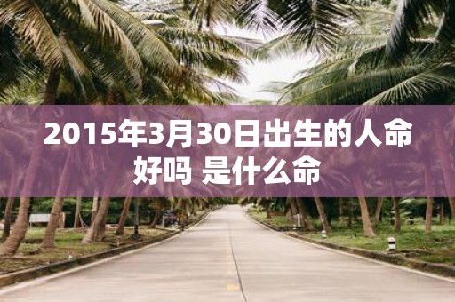 2015年3月30日出生的人命好吗 是什么命