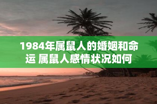 1984年属鼠人的婚姻和命运 属鼠人感情状况如何