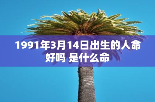 1991年3月14日出生的人命好吗 是什么命