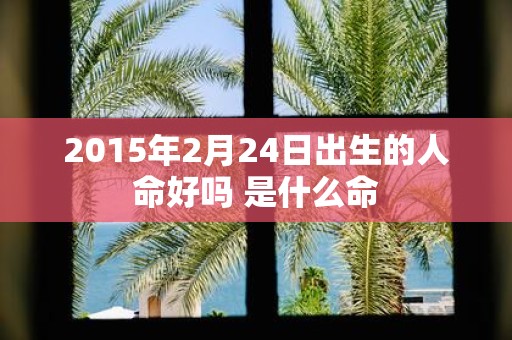 2015年2月24日出生的人命好吗 是什么命