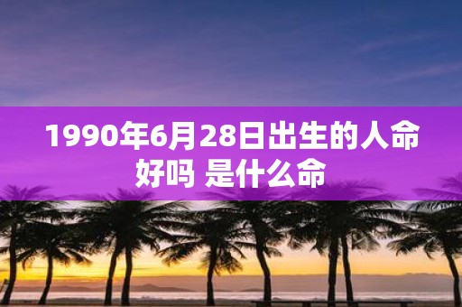 1990年6月28日出生的人命好吗 是什么命